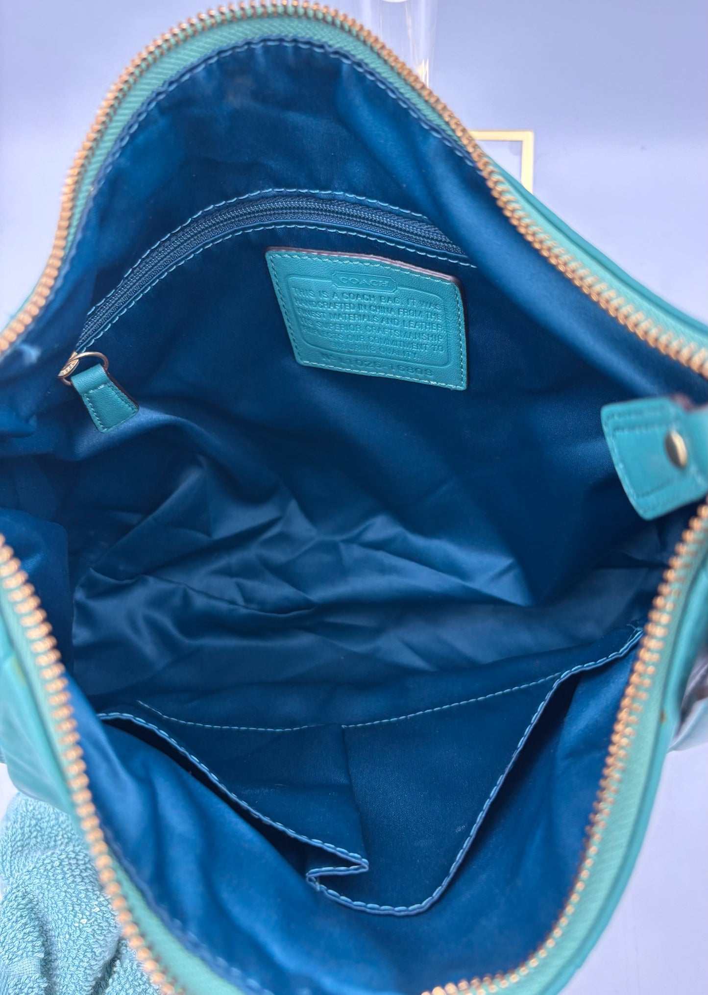Coach Kristin Leather Hobo Bag | Style No. 16808 | Green Shoulder Purse | Brass Pushlock Closure